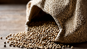 Personne réglant un poêle à granulés avec un sac de pellets à proximité.