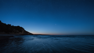 Vague nocturne scintillante bleu, illustrant la bioluminescence sur le littoral.