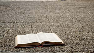 Passante choisissant un livre dans une boîte à livres sur un trottoir.