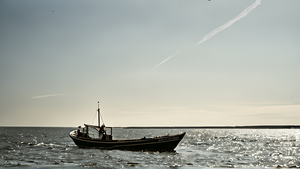 Bateau de pêche au large avec des éoliennes en mer visibles en arrière-plan.