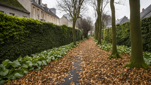 Une petite forêt urbaine dense dans un espace public, avec des passants à l’ombre.