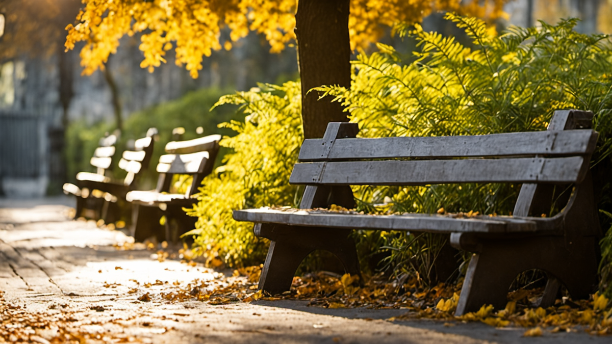 Des habitants profitent de l’ombre près d’une zone plantée en ville.