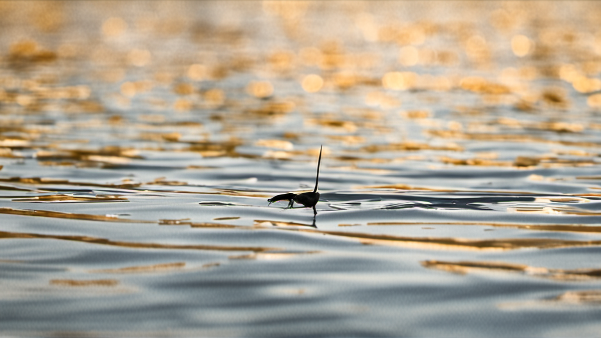 Une feuille d’exercices et un surligneur, texte illisible.