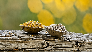 Deux bénévoles organisent une petite mission dans un local associatif.