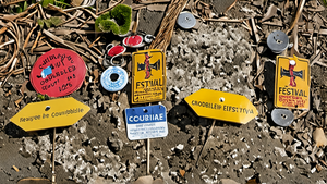 Sans bénévoles, pas de festival : les coulisses d’une organisation qui tient (et comment aider sans s’épuiser)