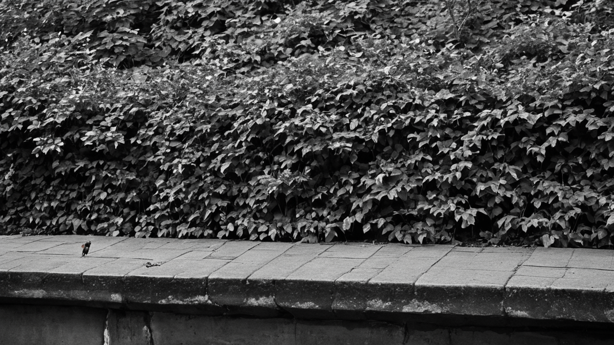 Square de quartier avec enfants jouant dehors dans une ambiance urbaine plus respirable.