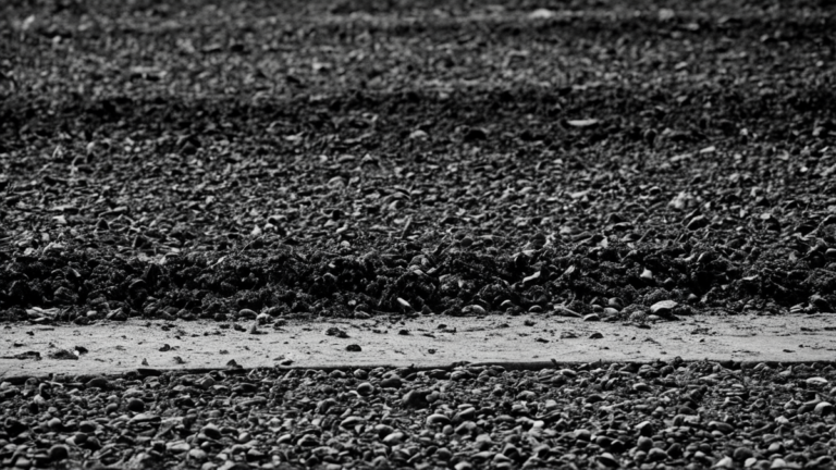 Banc retourne match remplacants changent histoire sans lumiere featured