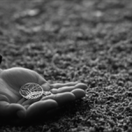 Cannes avant cannes lire selection sans jargon featured