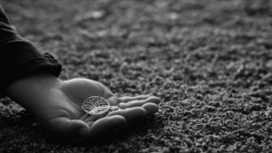 Cannes avant cannes lire selection sans jargon featured