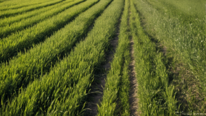 Croatie fin mines chemins ordinaires retrouves featured