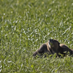 Danemark naissance sans vih bascule silencieuse featured