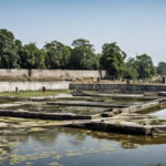 Dhobi ghat eau grise campus featured