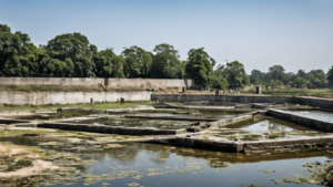 Dhobi ghat eau grise campus featured