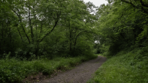 Eteindre lampadaire coeur nuit change plus insectes featured