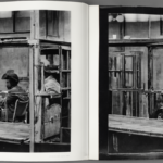 Fermer fermes a fourrure ce que certains pays ont deja change et ce que cela raconte featured