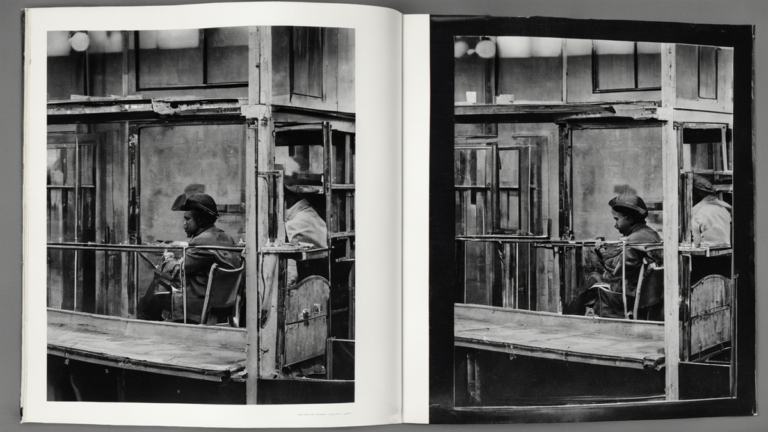 Fermer fermes a fourrure ce que certains pays ont deja change et ce que cela raconte featured