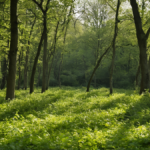 Fermes solaires plantes rares featured