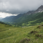 Gypaetes barbus alpes francaises featured