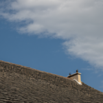 Hirondelles ville nids facades saisons featured