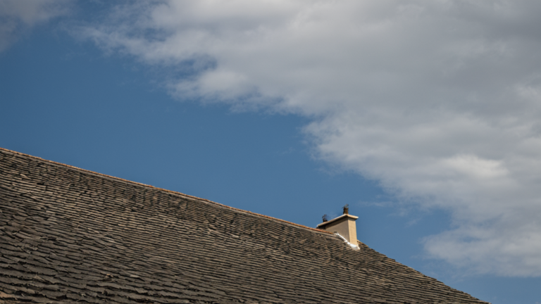 Hirondelles ville nids facades saisons featured