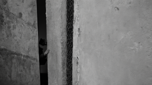 Lyon residence seniors baisser garde featured