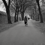 Marche chiens refuge binomes seniors featured