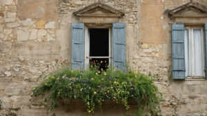 Martinets toits cavites bien pensees mieux nichoir gadget featured