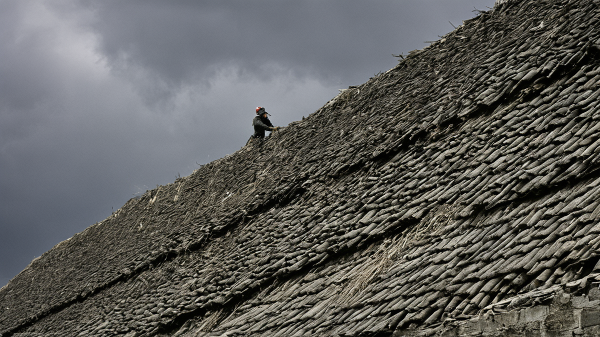 Façade en rénovation intégrant une ouverture ou brique adaptée aux martinets.