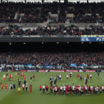 Mascottes sport conservation animaux reels featured