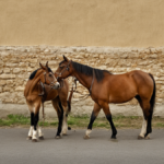 Mini chevaux residence seniors rythme piece featured