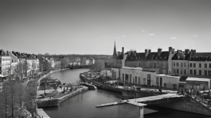 Oiseaux migrateurs retour ville observer sans deranger featured