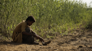 Outarde indienne poussins lacher progressif featured