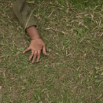 Parc sensoriel enfants handicap change facon etre accueilli featured