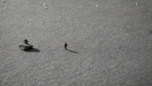 Pays bas bureaucratie plus humaine famille featured