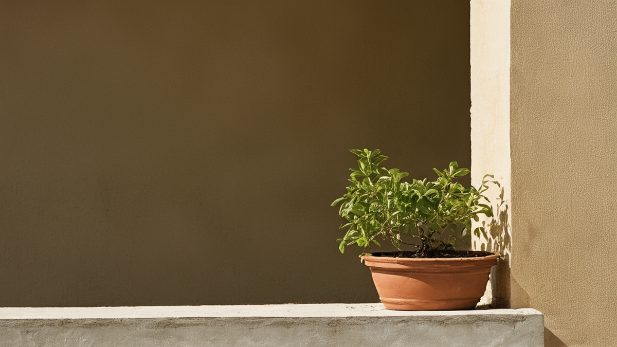 Feuille jaunie et pot rempoté avec drainage visible dans une scène de soin domestique