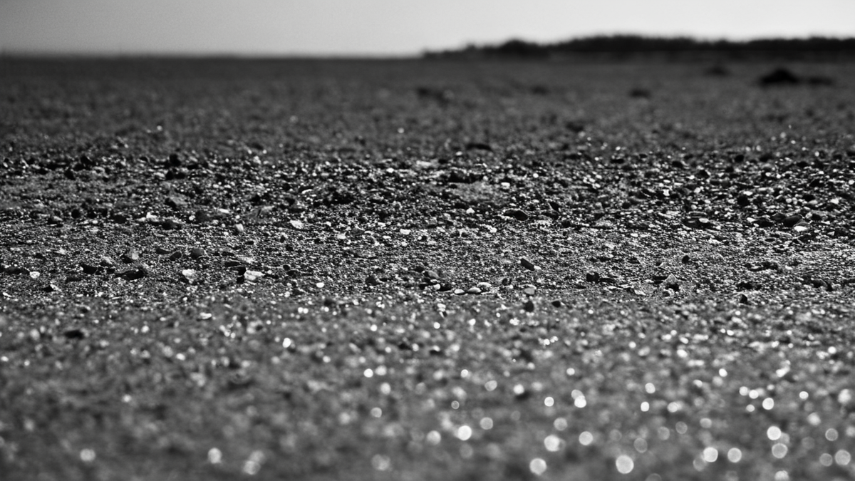 Des détails de salle ou de projection évoquant la réception des films par le public.