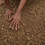 Puits degres benevoles dechets mehmadabad featured