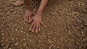 Puits degres benevoles dechets mehmadabad featured