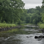 Reveiller 790 plans eau territoire cesse manquer featured