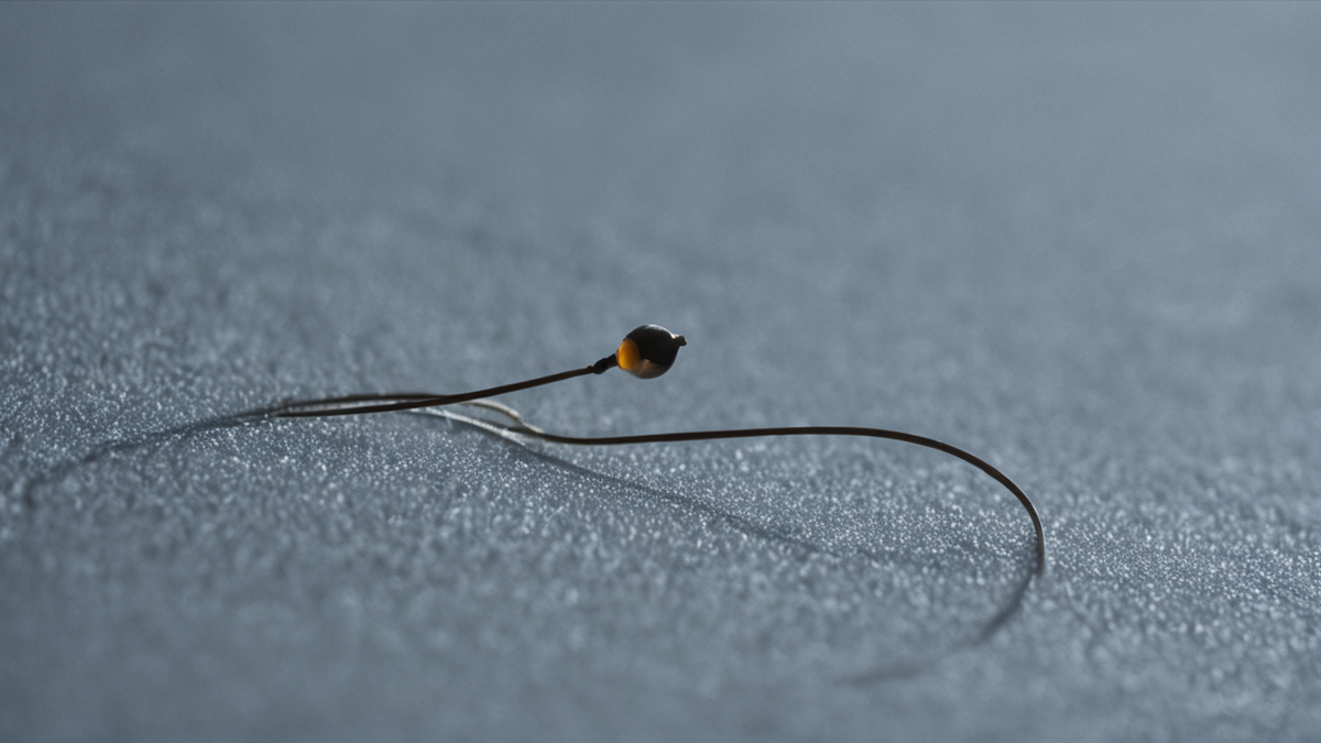 Hub domotique et routeur sur une étagère, scène de maison connectée sobre.