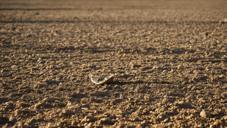 Sport feminin stades se remplissent ameliorer featured