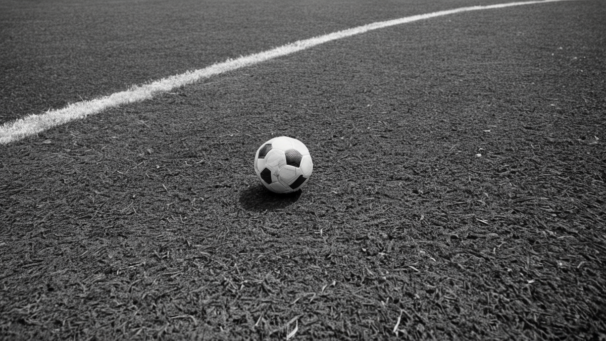 Des écharpes de supporters dans un stade de football avec la pelouse visible au fond.
