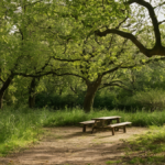 Arbres nommes ecoles survie featured