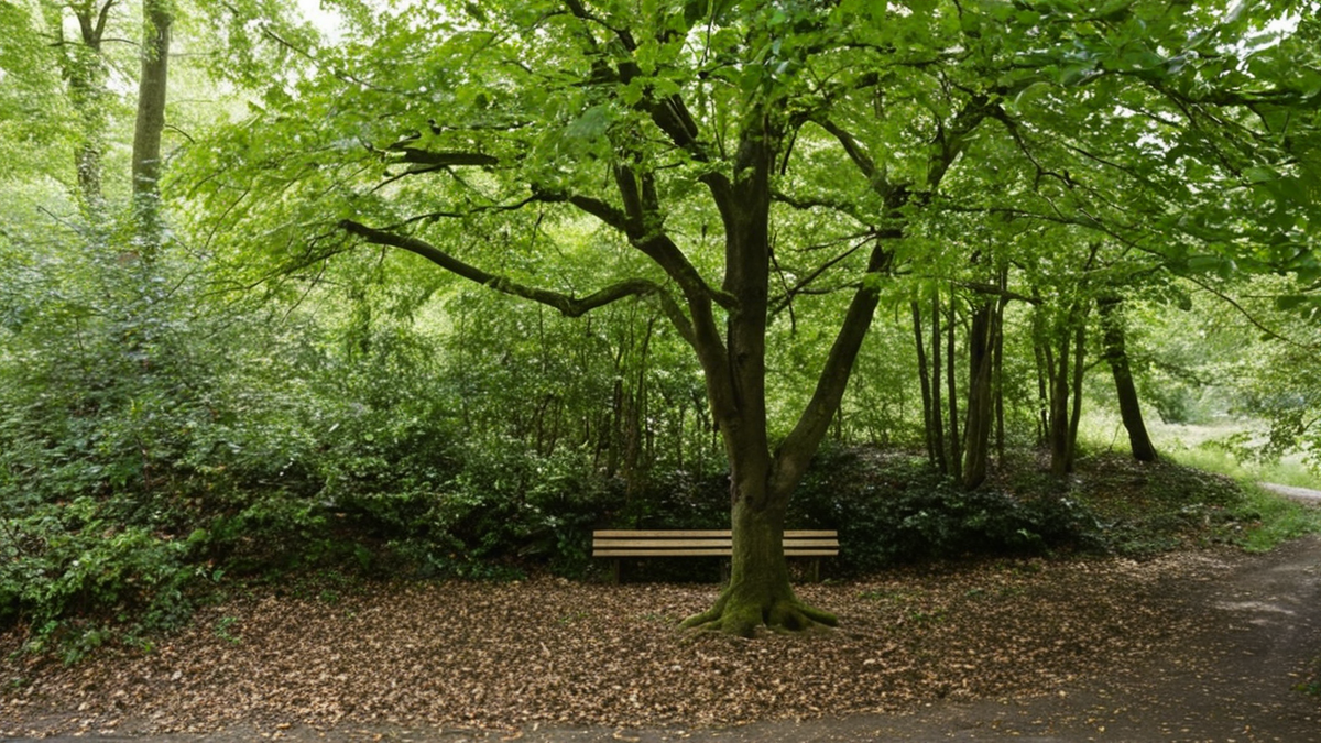 Un jeune arbre protégé dans une cour d’école avec un environnement simple autour.