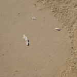 Art sur ordonnance hopital vrai bouleversement chambre featured