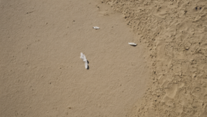 Art sur ordonnance hopital vrai bouleversement chambre featured