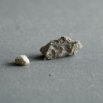 Bebe neandertal croissance plus vite featured