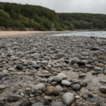 Calculateur impact dechets marins ramassage sauve vraiment featured