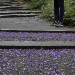 Coree du sud bts tourisme effet reel featured