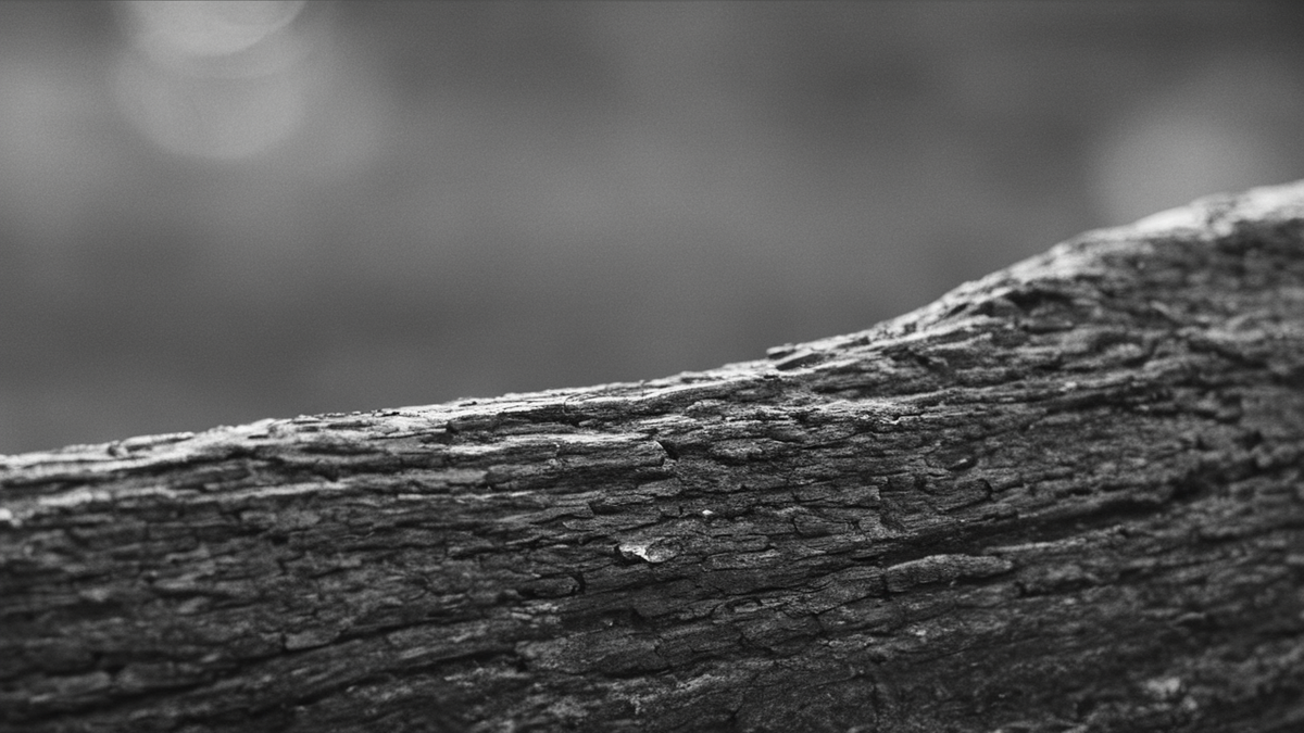 Un espace intérieur dégage un petit parcours de marche entre une chaise et une fenêtre.